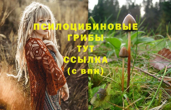 индика Алексин