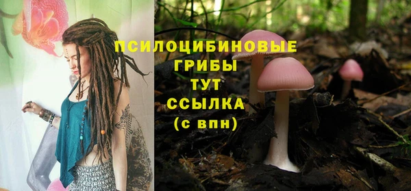 амф Армянск