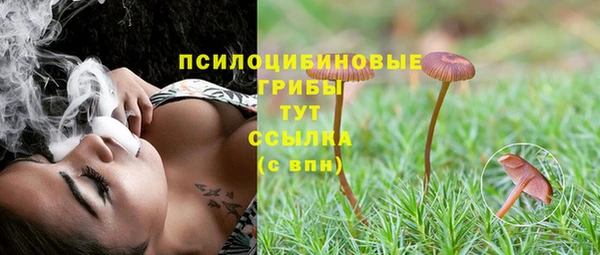 эйфоретик Алексеевка