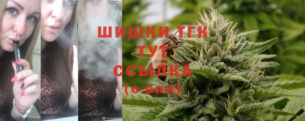 ПСИЛОЦИБИНОВЫЕ ГРИБЫ Аркадак
