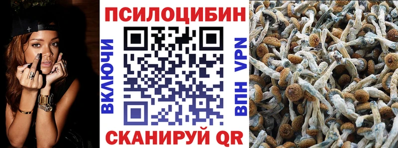 Псилоцибиновые грибы Cubensis  Собинка 
